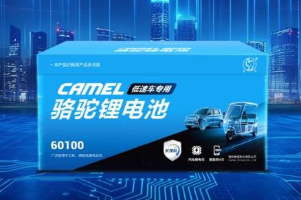 Three-wheel lithium battery vehicle selects Dongmao: Rejuvenates low-speed travel experience with automotive-grade standards