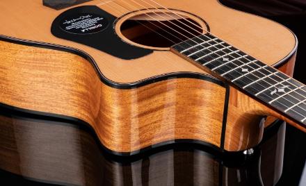 New sound of the guitar, starting from P20: Gorilla has created an ideal entry-level guitar for beginners with zero experience.