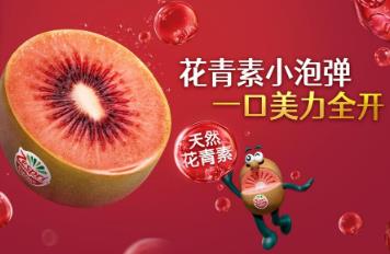 New Zealand Ruby Kiwi Arrives in China by Air for the First Time. The 2026 Harvest Season of Good Seed officially kicks off.